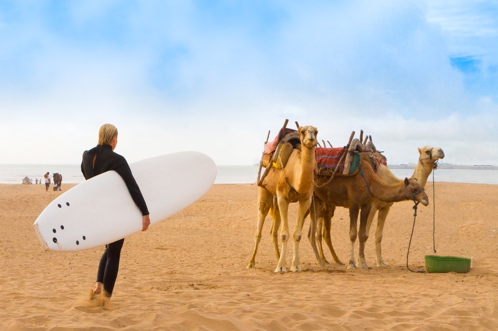 Surf morocco